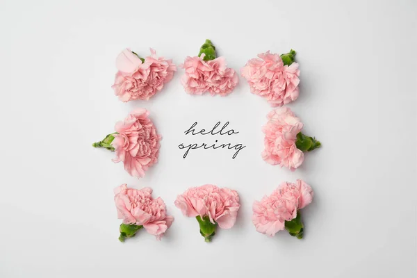 Vista superior da moldura floral feita de cravos rosa no fundo branco com letras de primavera Olá — Fotografia de Stock