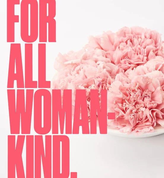 Close up of pink carnations in plate on white background with for all woman kind lettering — Stock Photo