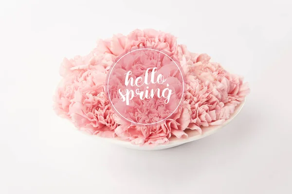 Oeillets roses en assiette sur fond blanc avec lettrage printemps bonjour — Photo de stock