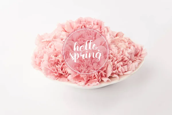 Pink carnations in plate on white background with hello spring lettering — Stock Photo