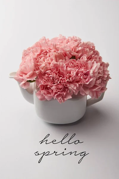 Pink carnation flowers in white teapot on grey background with hello spring lettering — Stock Photo