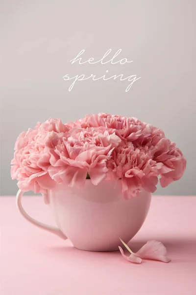 Pink carnation flowers in cup on grey background with hello spring lettering — Stock Photo