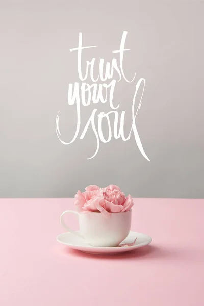 Garofano rosa fiori in tazza bianca sul piattino su sfondo grigio con fiducia la tua anima lettering — Foto stock
