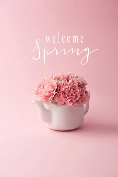 Pink carnation flowers in white teapot on pink background with welcome spring lettering — Stock Photo