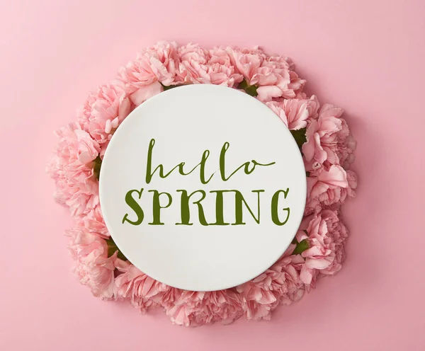 Top view of white plate with hello spring lettering and wreath of pink carnations on pink background — Stock Photo