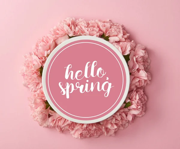 Vista dall'alto del piatto con scritta ciao primavera e corona di garofani rosa su sfondo rosa — Foto stock