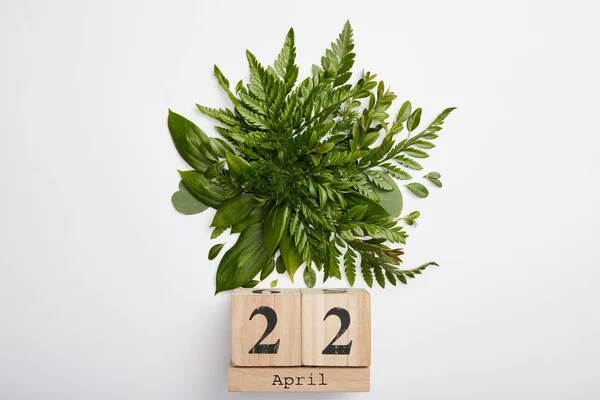 Composition of fresh green fern leaves and wooden blocks calendar isolated on grey background, earth day concept — Stock Photo