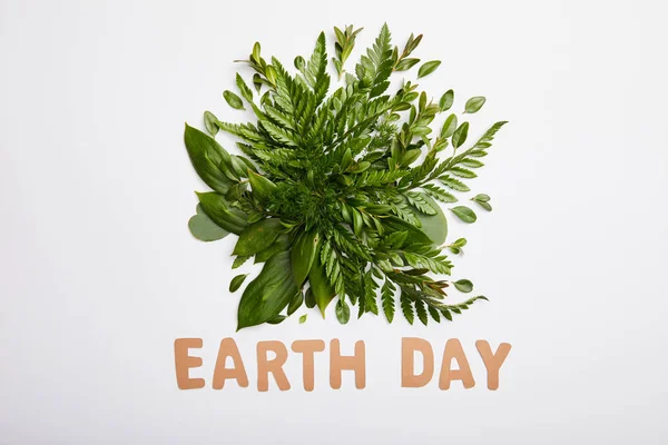 Состав свежих зеленых листьев папоротника и бумажные буквы изолированы на сером фоне, концепция Дня Земли — стоковое фото