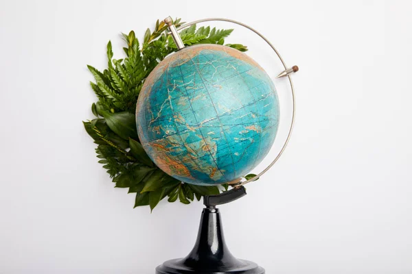 Композиція свіжого зеленого листя папороті і глобус ізольовані на сірому фоні, концепція Дня Землі — стокове фото