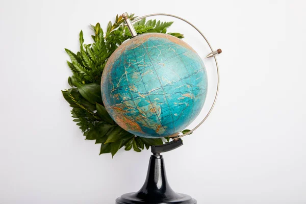 Composition de feuilles fraîches de fougère verte et globe isolé sur fond gris, concept de jour de la terre — Photo de stock