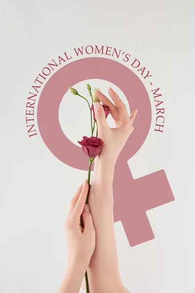 Vista parcial de las manos femeninas con flores púrpuras sobre fondo blanco con ilustración internacional del día de la mujer - foto de stock