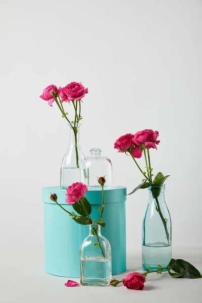 Roses roses en bouteilles transparentes avec boîte cadeau turquoise et bocal cloche isolé sur blanc — Photo de stock