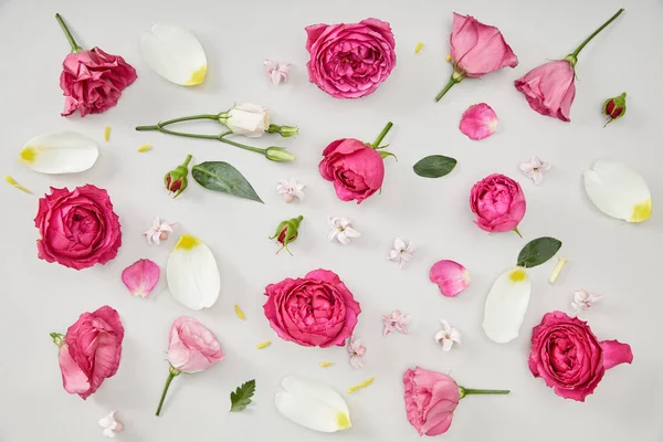 Fundo floral feito de rosas rosa e pétalas de tulipa isoladas em branco — Fotografia de Stock