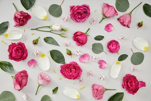 Fundo floral feito de rosas rosa e pétalas de tulipa isoladas em branco — Fotografia de Stock