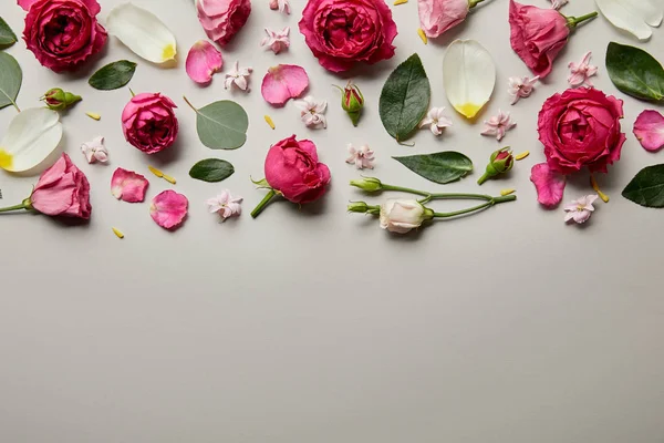Draufsicht auf rosa Rosen, Blätter, Knospen und Blütenblätter isoliert auf grau mit Kopierraum — Stockfoto