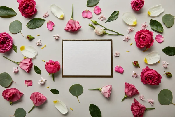 Вид сверху пустой белой карточки с розовыми розами и лепестками, изолированными на сером — стоковое фото