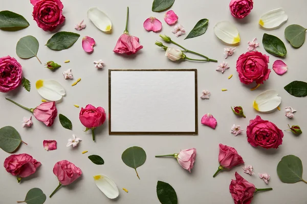 Vista superior de la tarjeta blanca en blanco con rosas rosadas y pétalos aislados en gris - foto de stock