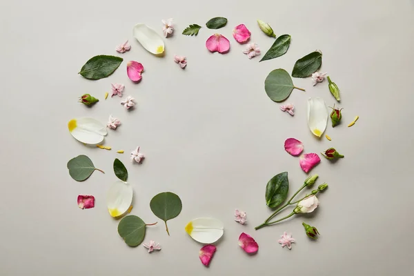 Top view of round floral frame made of petals and leaves with copy space isolated on grey — Stock Photo