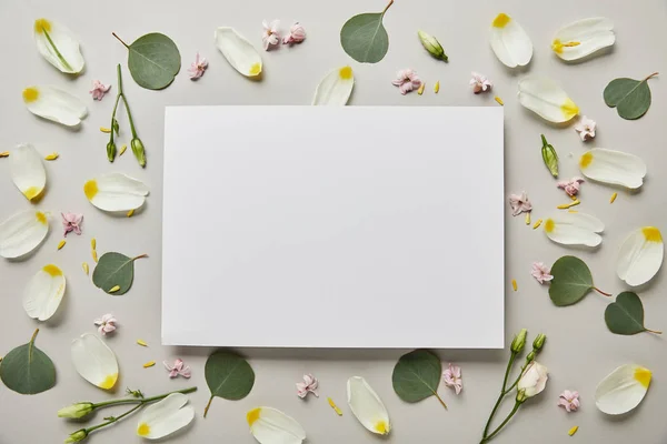 Top view of blank white card with leaves and petals isolated on grey — Stock Photo