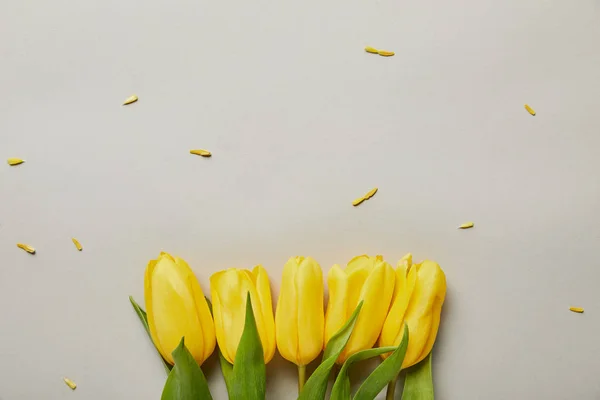 Вид сверху желтых тюльпанов, изолированных на сером с копировальным пространством — стоковое фото