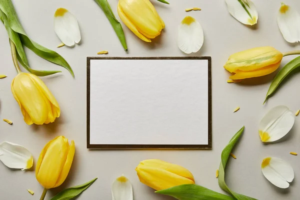 Top view of white blank card with yellow tulips isolated on grey — Stock Photo