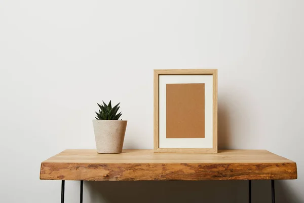 Green plant near frame on wooden table at home — Stock Photo