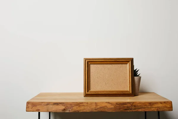 Frame near plant on wooden table at home — Stock Photo