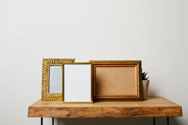 Frames near plant on wooden table at home — Stock Photo