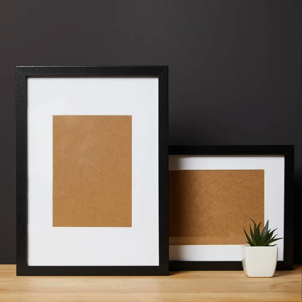 Black blank frames on wooden table near green plant in pot — Stock Photo