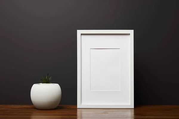 White square frame near green plant on wooden table — Stock Photo