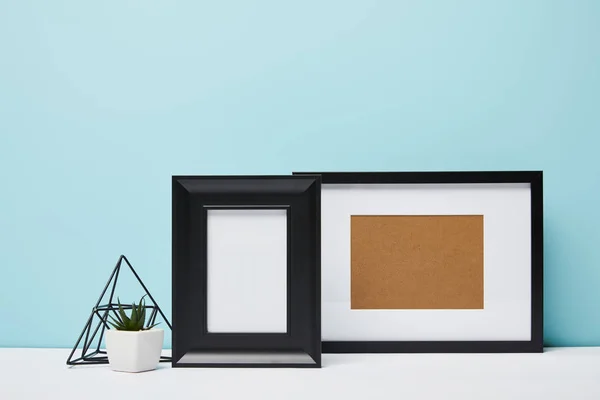 Black square frames near green plant in pot on table — Stock Photo
