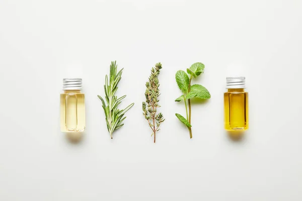 Top view of essential oil, rosemary, thyme and mint on white background — Stock Photo