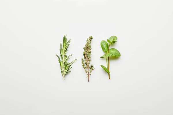 Top view of rosemary, thyme and mint on white background — Stock Photo