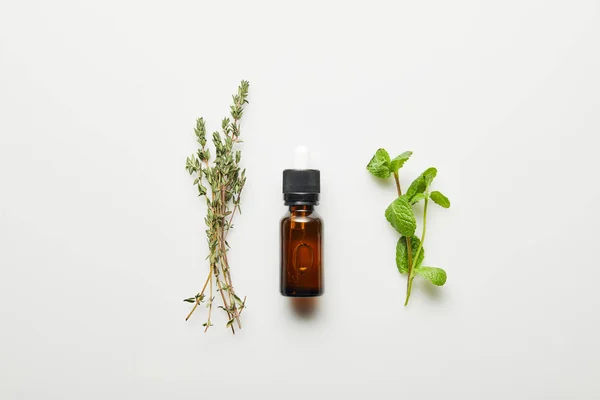 Top view of essential oil, thyme and fresh mint on white background — Stock Photo