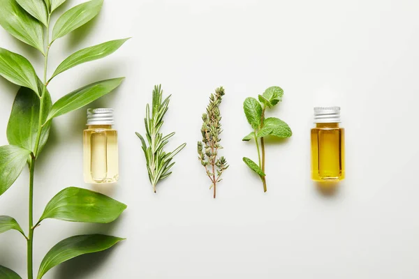 Vista superior de botellas con aceite esencial y hierbas verdes sobre fondo blanco - foto de stock