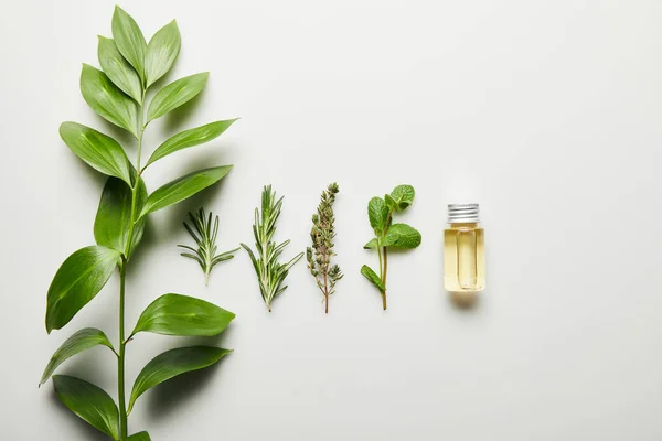 Top view of essential oil and green herbs on white background — Stock Photo