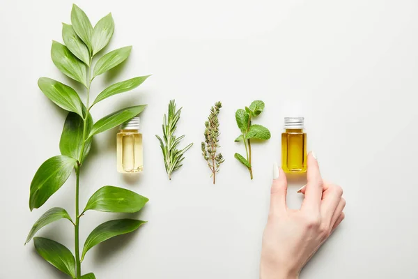 Cropped view of woman holding bottle with essential oil on white background — Stock Photo