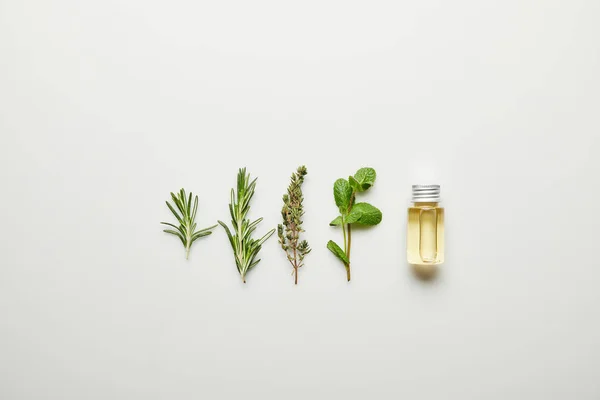 Вид зверху на ефірну олію в пляшці та свіжі трави на білому тлі — стокове фото
