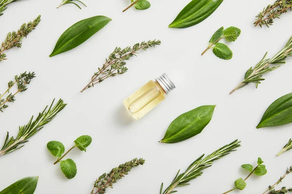 Flat lay with essential oil and fresh herbs on grey background — Stock Photo