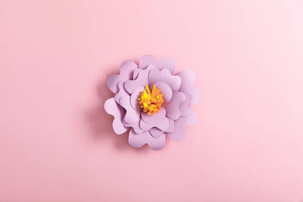 Vista dall'alto del fiore di carta lilla su sfondo rosa — Foto stock