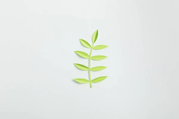 Вид зверху на рослину з зеленого паперу з листям на сірому фоні — стокове фото