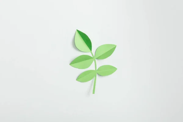 Top view of green paper plant with leaves on grey background — Stock Photo