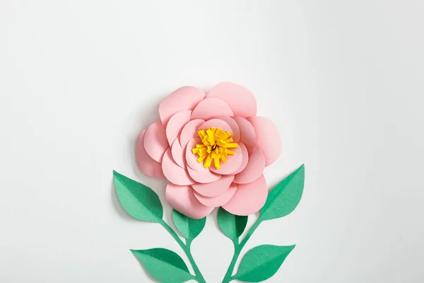 Vue de dessus de fleurs en papier rose et de plantes vertes sur fond gris — Photo de stock