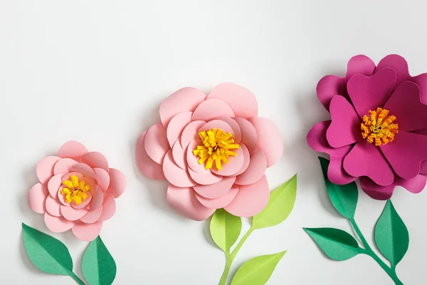 Вид зверху на рожеві паперові квіти і зелені рослини з листям на сірому фоні — стокове фото