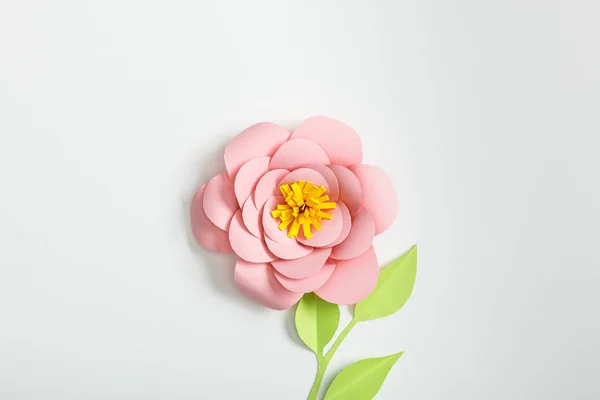 Vue de dessus de fleurs en papier rose et de plantes vertes avec des feuilles sur fond gris — Photo de stock