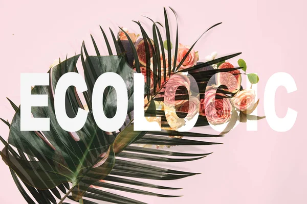 Foglie di monstera su sfondo rosa con illustrazione rose e lettering ecologico — Foto stock