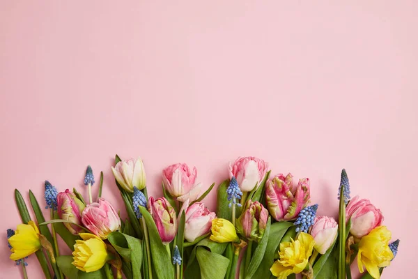 Vista superior de hermosos tulipanes rosados, jacintos azules y flores narcisas amarillas sobre fondo rosa - foto de stock