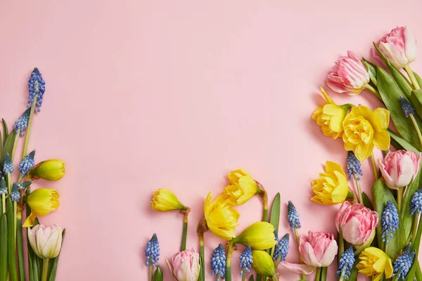 Вид сверху на свежие розовые тюльпаны, голубые гиацинты и желтые нарциссы на розовом фоне — стоковое фото