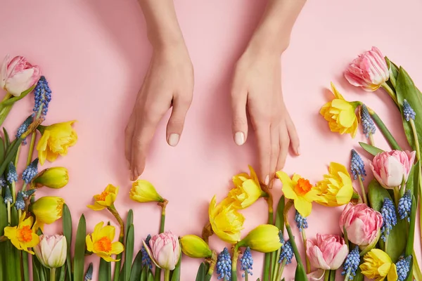 Partial view of female hands, fresh pink tulips, blue hyacinths and yellow daffodils on pink — Stock Photo