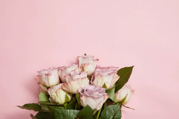 Vista superior de hermoso ramo de rosas rosadas con hojas verdes sobre fondo rosa - foto de stock